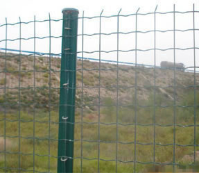 草原護(hù)欄網(wǎng) 草原護(hù)欄網(wǎng)