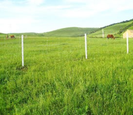 草原護(hù)欄網(wǎng) 草原護(hù)欄網(wǎng)